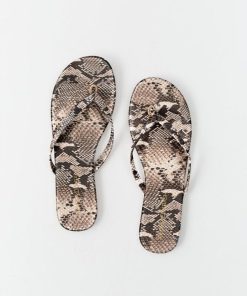 Thepathfinder.shop1c6fcabb9d 2