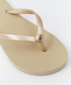 Thepathfinder.shop285808d492 3