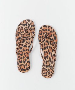 Thepathfinder.shopb6ac0d2921 2