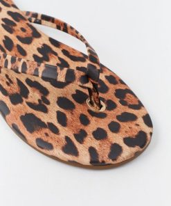 Thepathfinder.shopb6ac0d2921 3