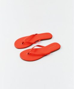 Thepathfinder.shopca3c25f992 1