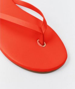 Thepathfinder.shopca3c25f992 3