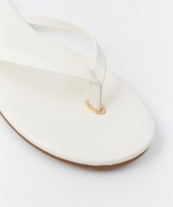 Thepathfinder.shopd31d1ea6df 3