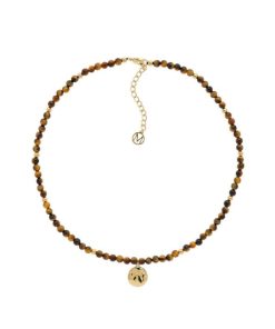 Thepathfinder.shope821c5b5ca 1